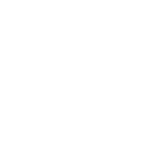 iRobot