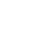 Roborock